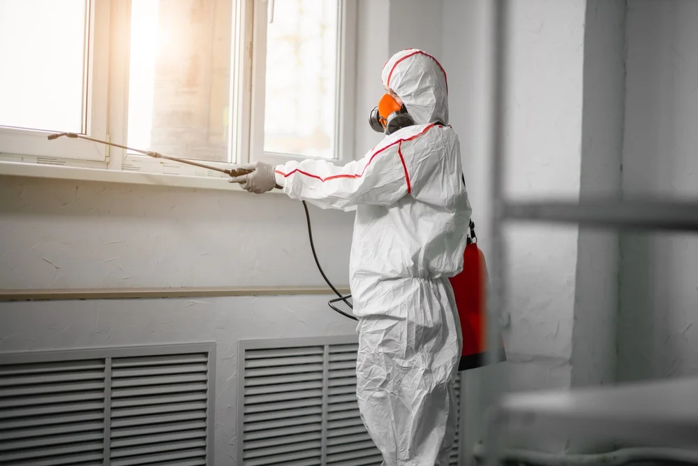 Professional mold remediation services in Fort Thomas, KY